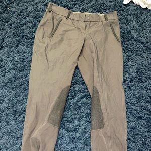 Asmar Breeches